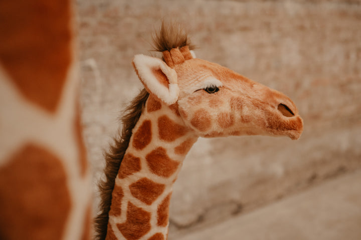 Girafe debout en peluche sauvage et douce - Différentes tailles