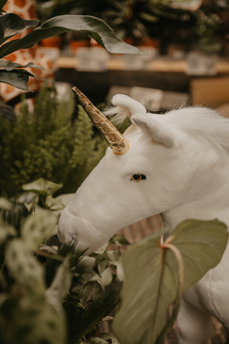 Licorne en peluche sauvage et douce debout