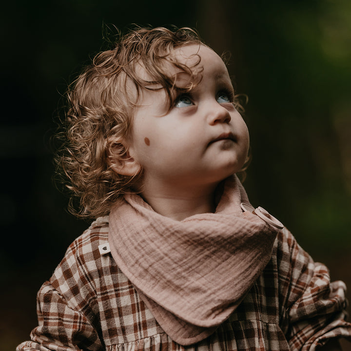 Personalised Bibs Bandana Bib - Blush