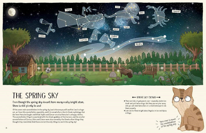 A Cats Guide To The Night Sky