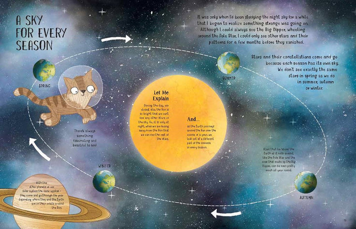 A Cats Guide To The Night Sky