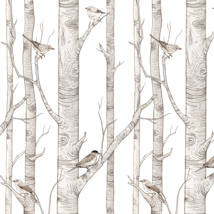 Birch Forest Wallpaper