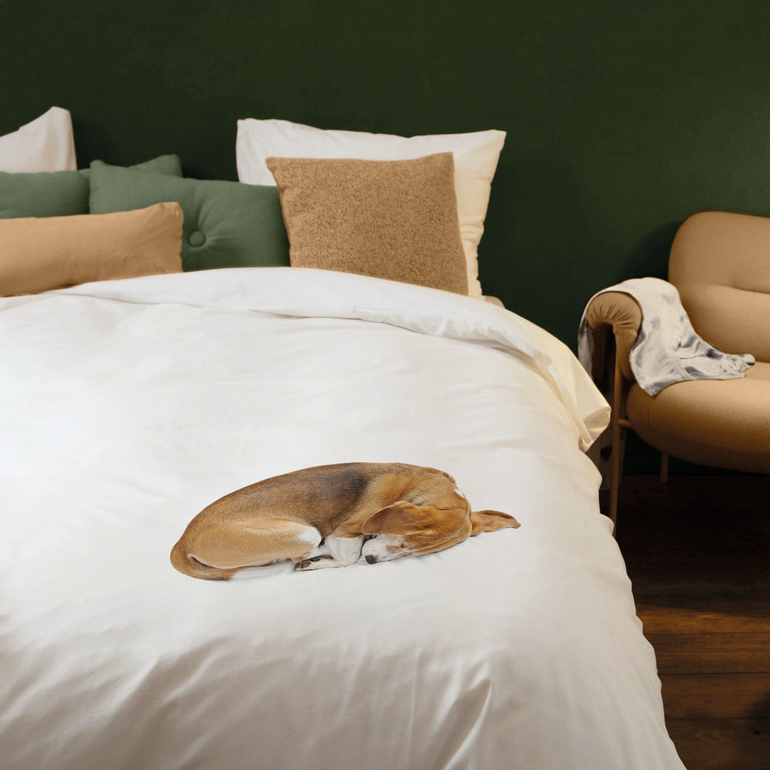 Snurk Bob The Dog Organic Bedding Set