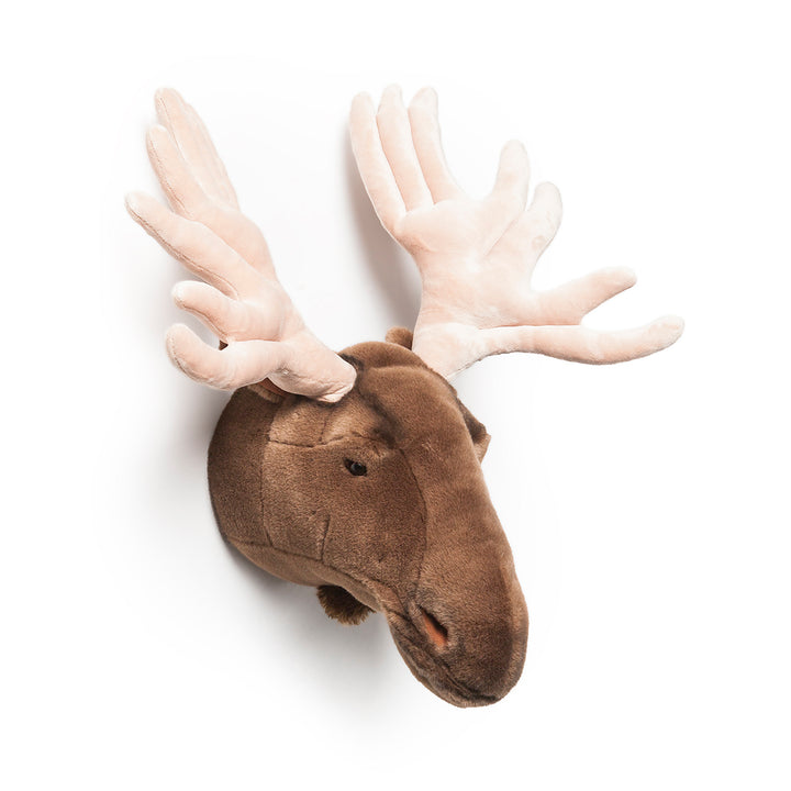 Wild & Soft Wall Toy - Alfred The Moose